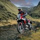 CRF1100AN-8