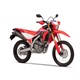CRF300LAP-1