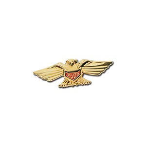 Mini Condor for GL1500, Gold