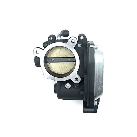 Throttle Body 55mm