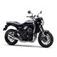 22Z900RS-2