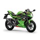 Kawasaki Ninja 125 Perfomance