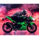 23NINJA400-13