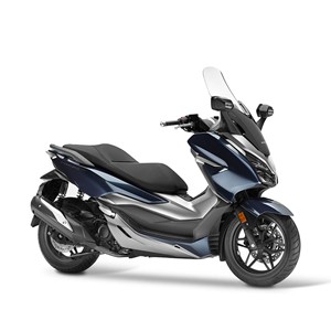 NSS300 Forza 2019