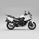 NT1100DN-6
