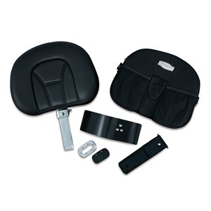 Plug-N-Go Driver Backrest Kit