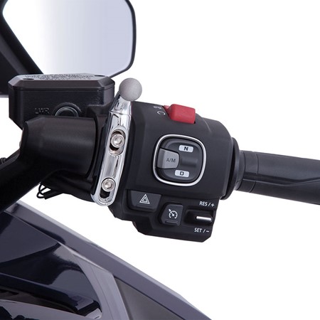 Goldstrike Accessory Mounts, Chrome