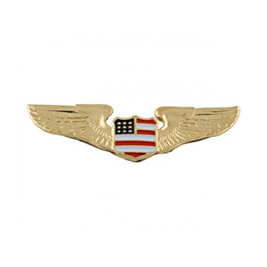 (Utgått) Gold Wing w/USA Shield 3"x1"