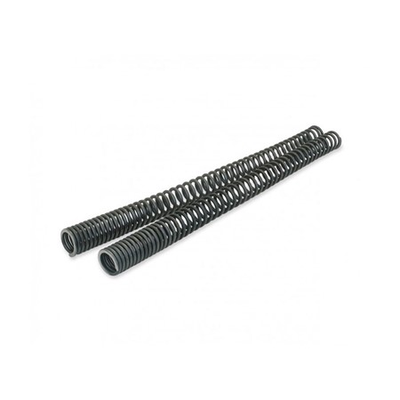 GL1200 Fork Spring