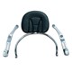 Revolution Driver Backrest 2012