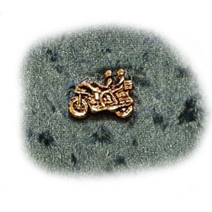 Goldwing GL 1200 pin