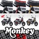 Z125MAN-6